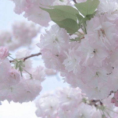 兽设原创改稿思路兽圈群